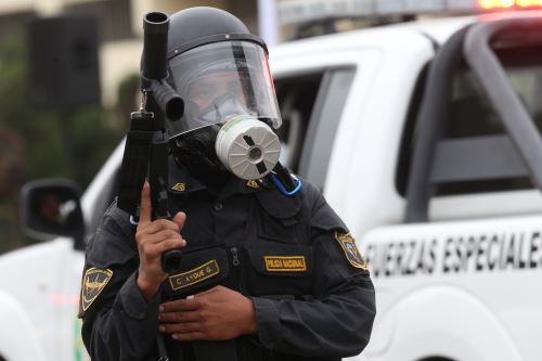 Foto: ANDINA/Norman Córdova.