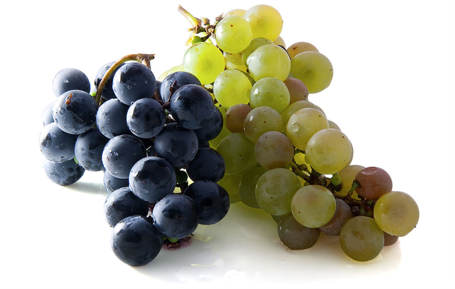 La uva es considerada un superalimento por su alto valor nutricional en la que destacan las vitaminas C y K, minerales como el hierro, magnesio y calcio, así como fibra y proteína vegetal. Su aporte calórico es de 67 Kcal por cada 100 gramos.  INTERNET/Medios