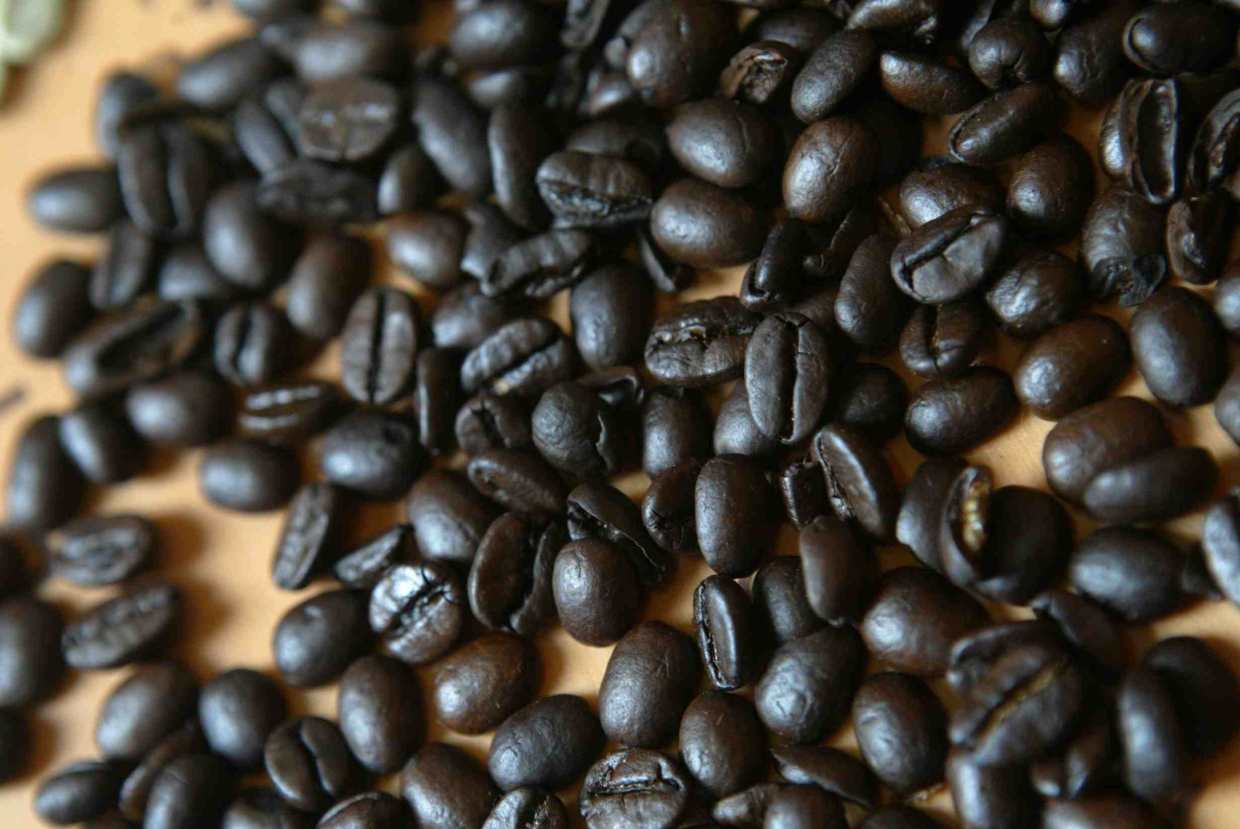 Peruanos consumimos poco café, según organización que agrupa a productores. Foto: ANDINA/archivo