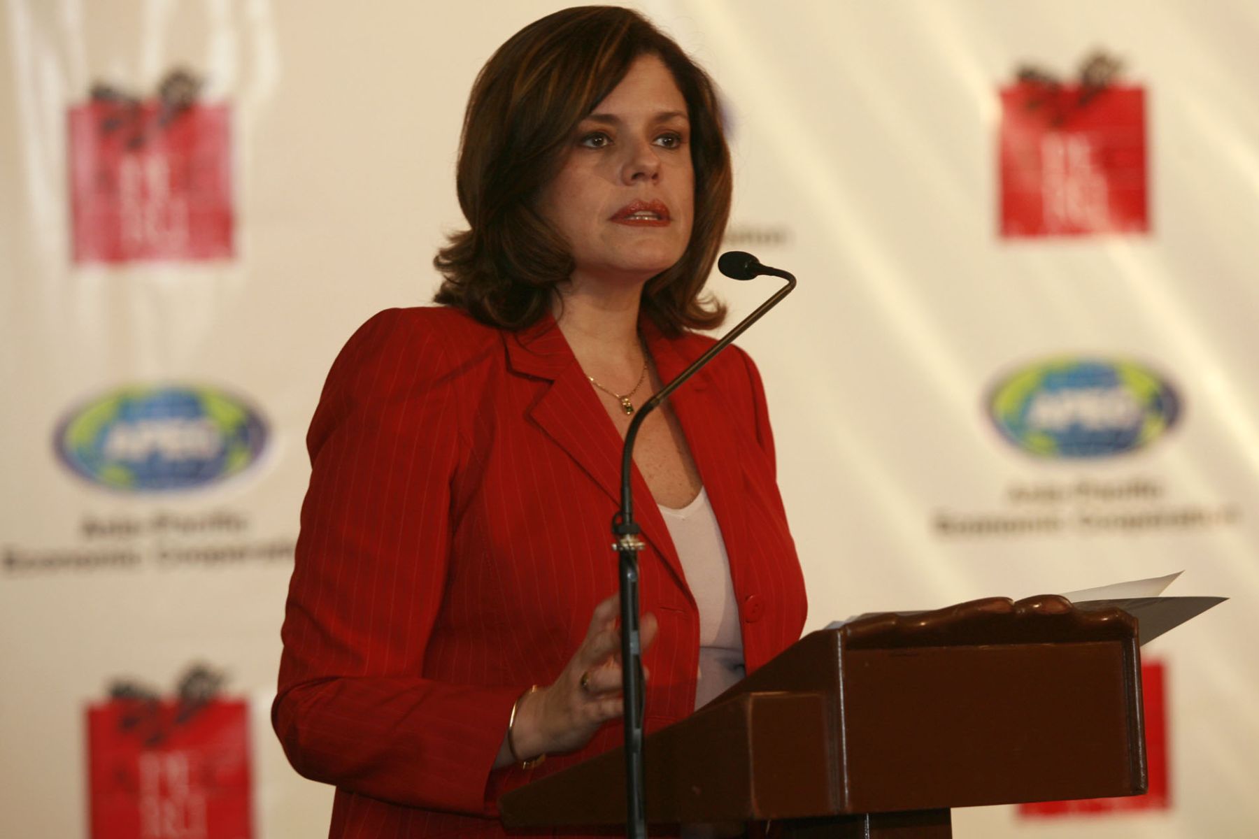 Palabras de Mercedes Aráoz en el Gran Comedor de Palacio de Gobierno. Foto: ANDINA/Oscar Farje