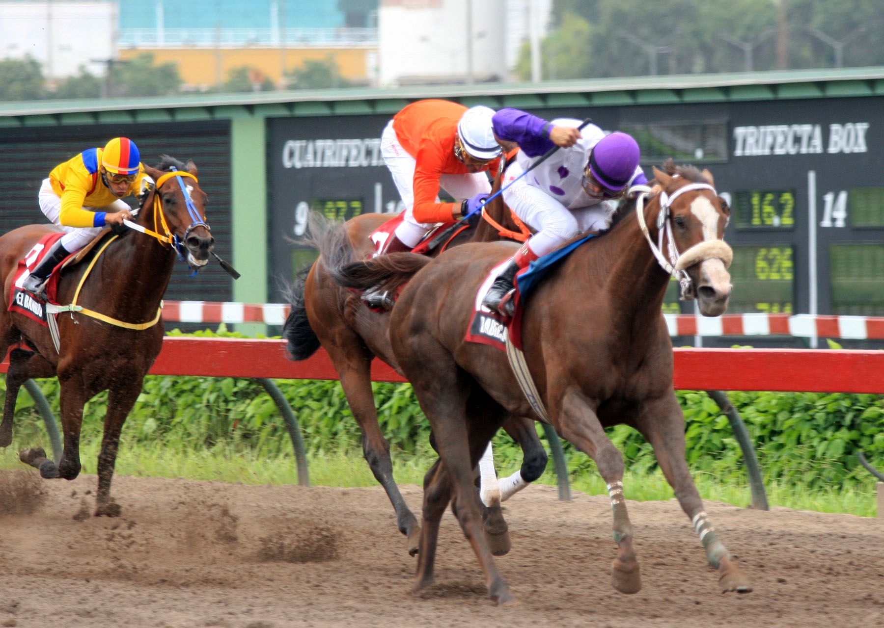 El Jinete Peruano, Raul Bejarano, gana la 3ra carrera del campeonato internacional 2008 "robalca".Foto:ANDINA/CarlosLezama