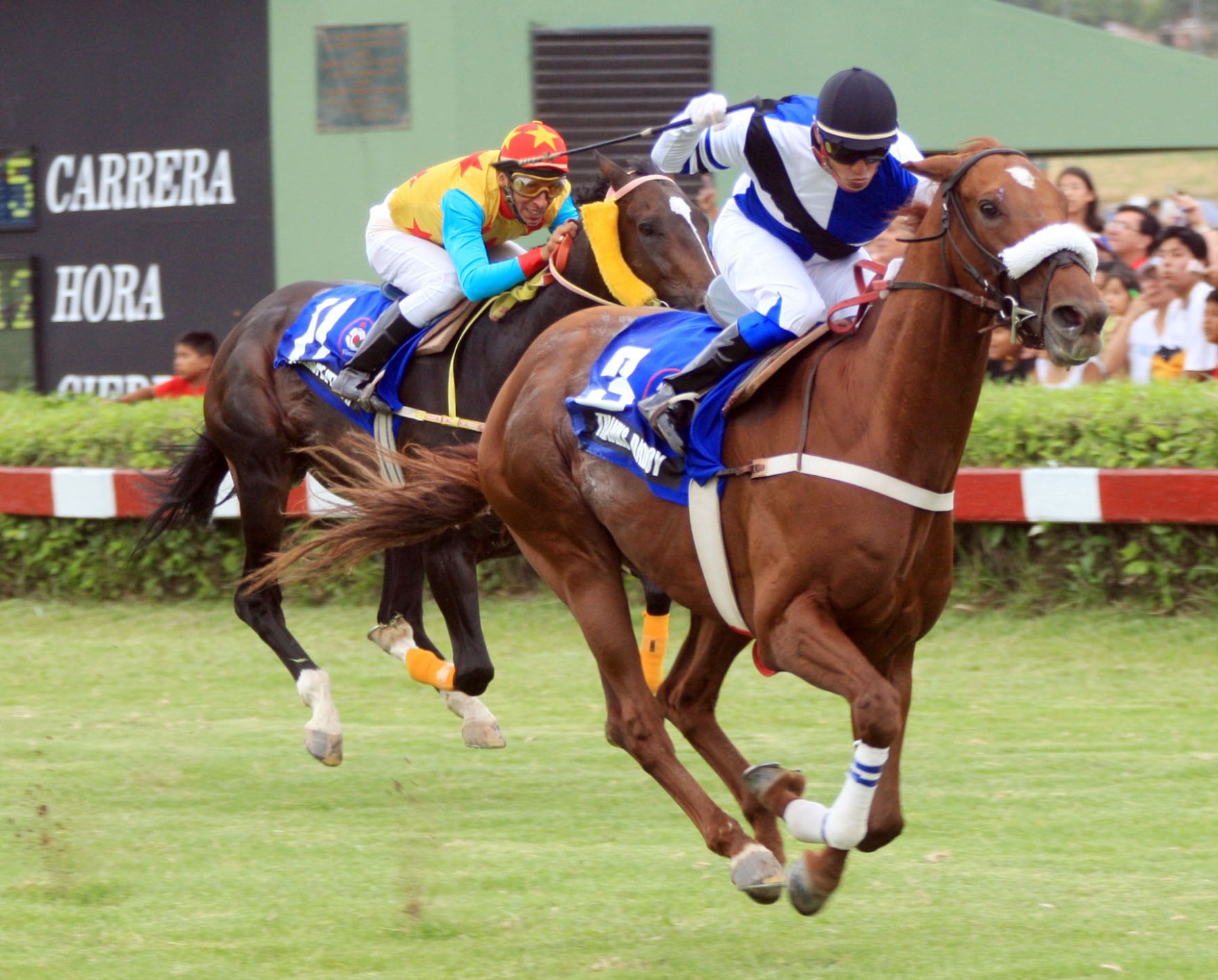 El Jinete Peruano, Carlos Trujillo, gana  5ta carrera del Campeonato Internacional de Jockeys – Robalca. Foto:ANDINA/CarlosLezama