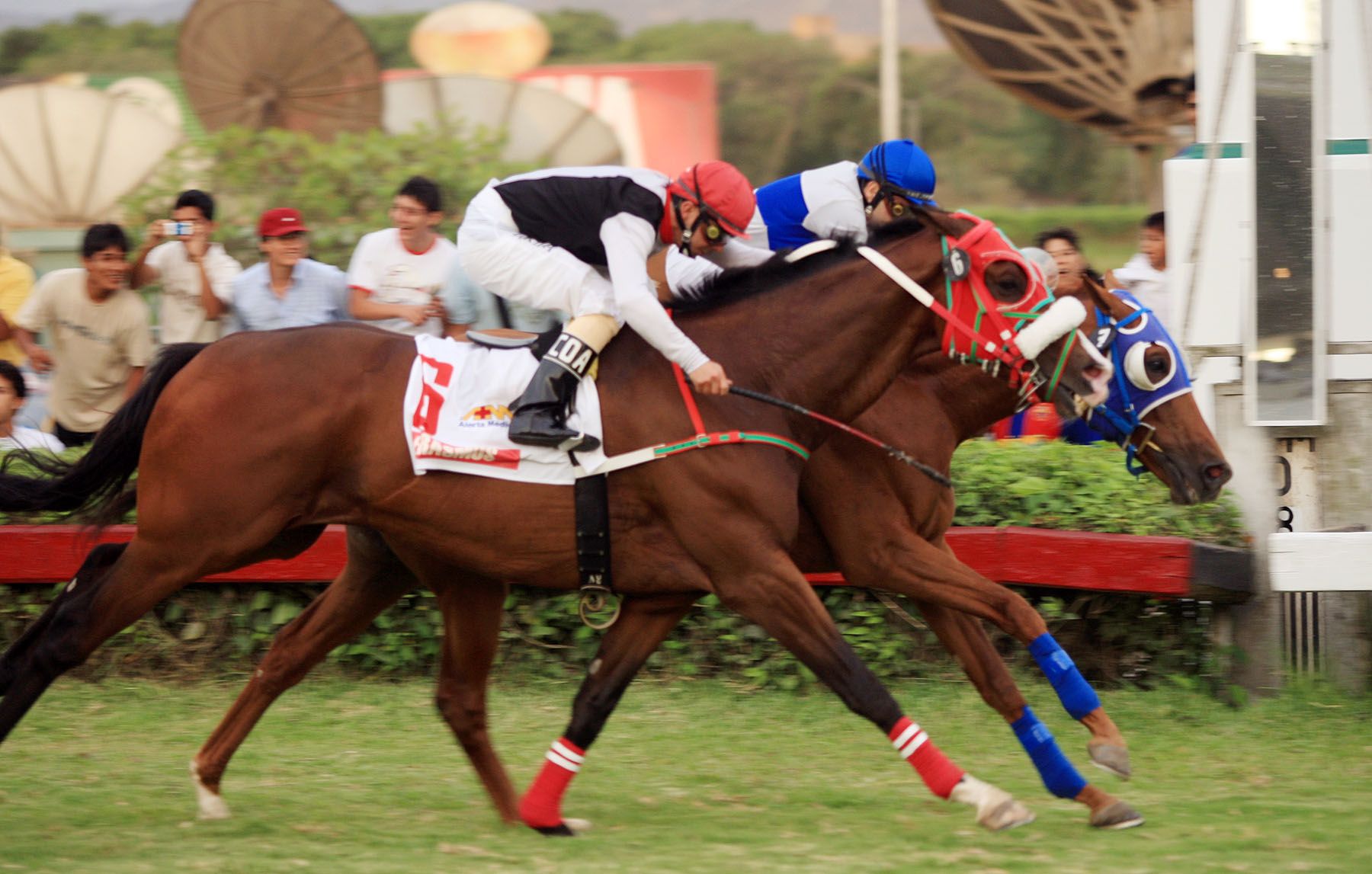 El Jinete Norteamericano Joe Bravo, gana el Campeonato Internacional de Jockeys – Robalca. Foto:ANDINA/CarlosLezama