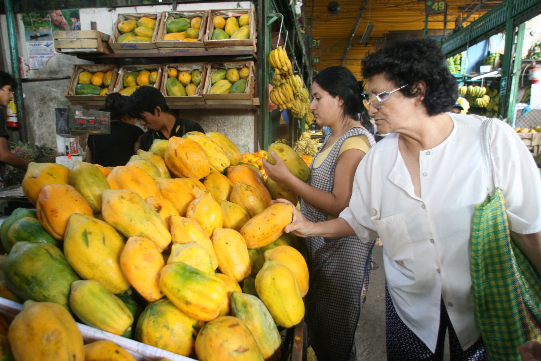 INIA promoverá cultivo de papaya arequipeña para incrementar producción