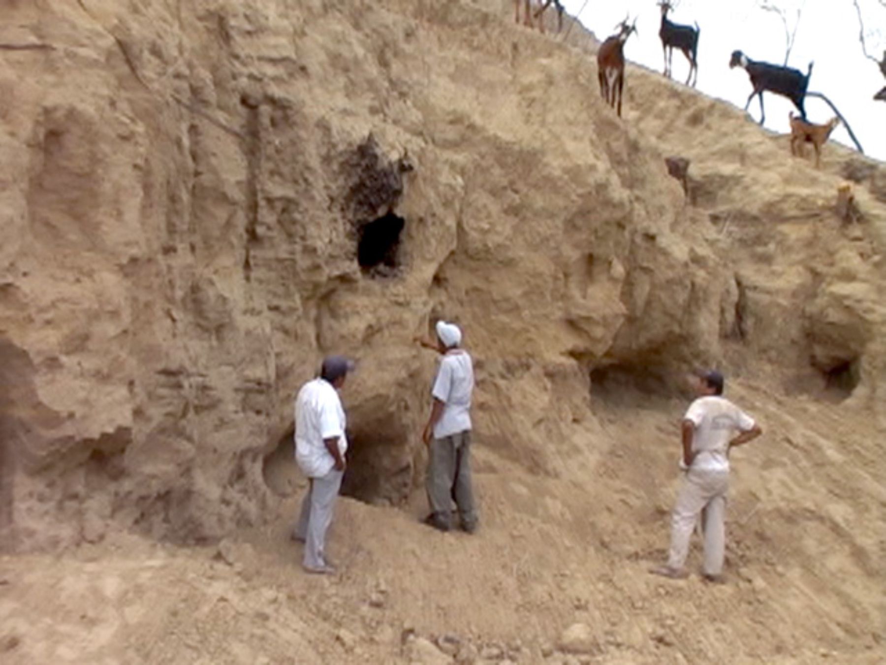 Trabajadores de Construyendo Perú hallaron las Pirámides de Laynes, en Piura. Foto: ANDINA.