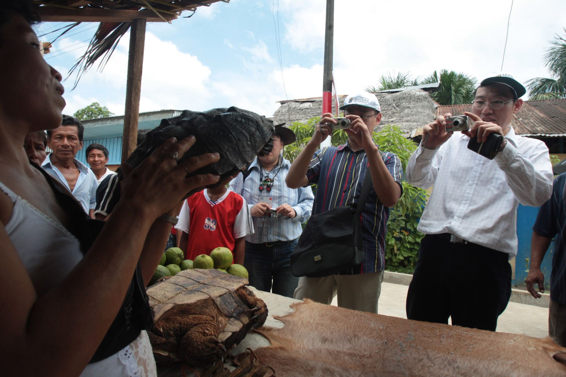 Dos delegados del Apec fotografían una tortuga "Mala Mala"  durante su visita al distrito de Indiana. Foto: ANDINA/ Piero Vargas