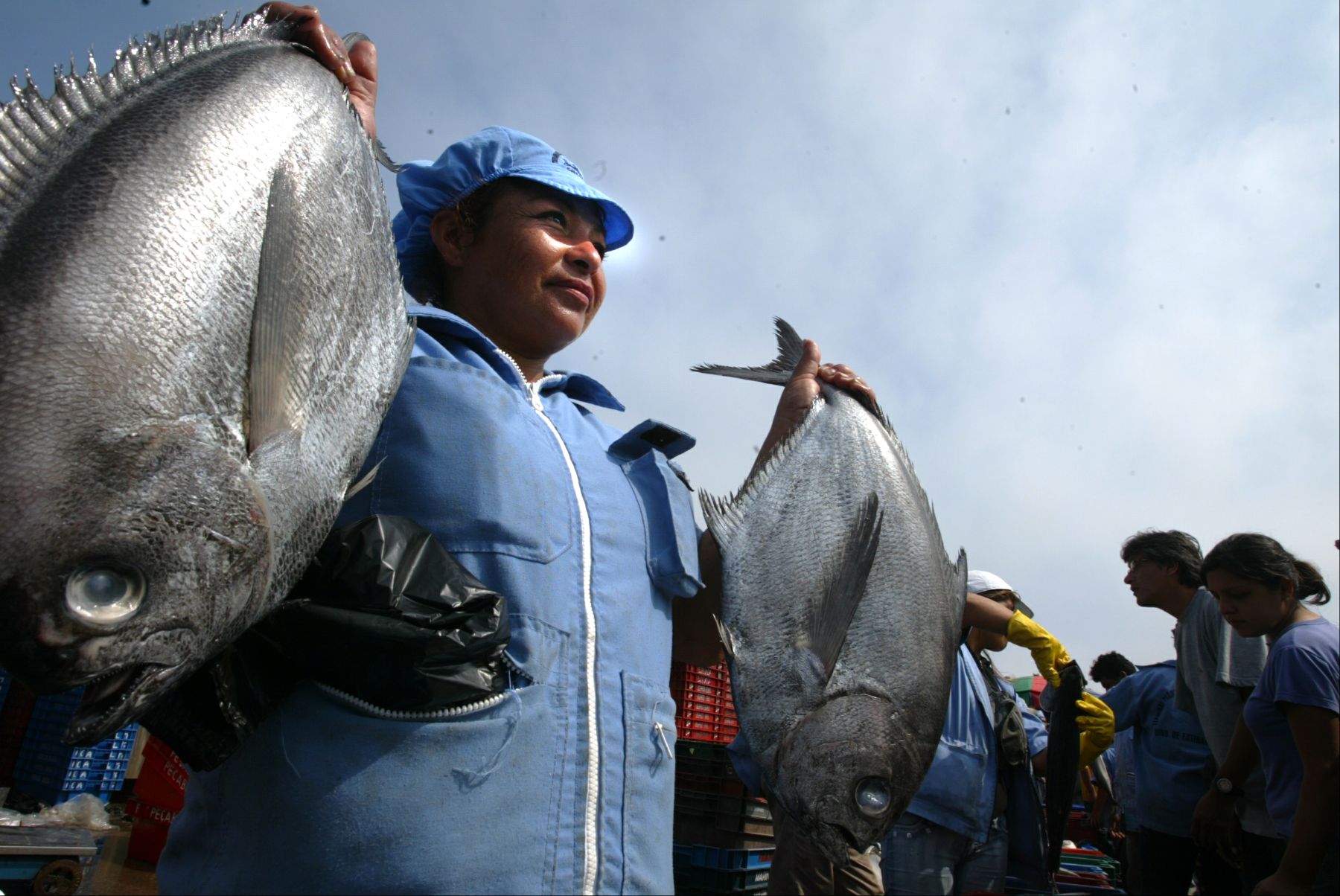 Venta de productos hidrobiológicos en Semana Santa en el Terminal pesquero de Ventanilla. Foto: ANDINA / Alberto Orbegoso