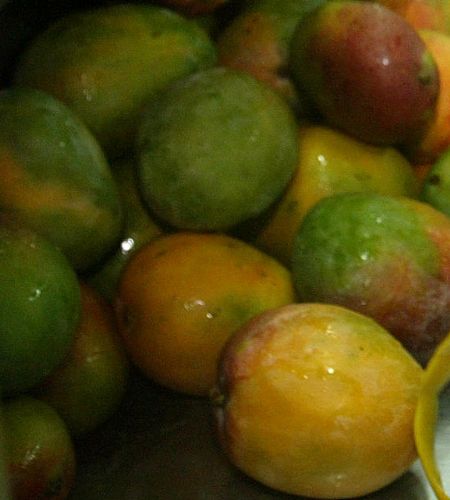 Mango de Piura. Foto: ANDINA/Archivo.
