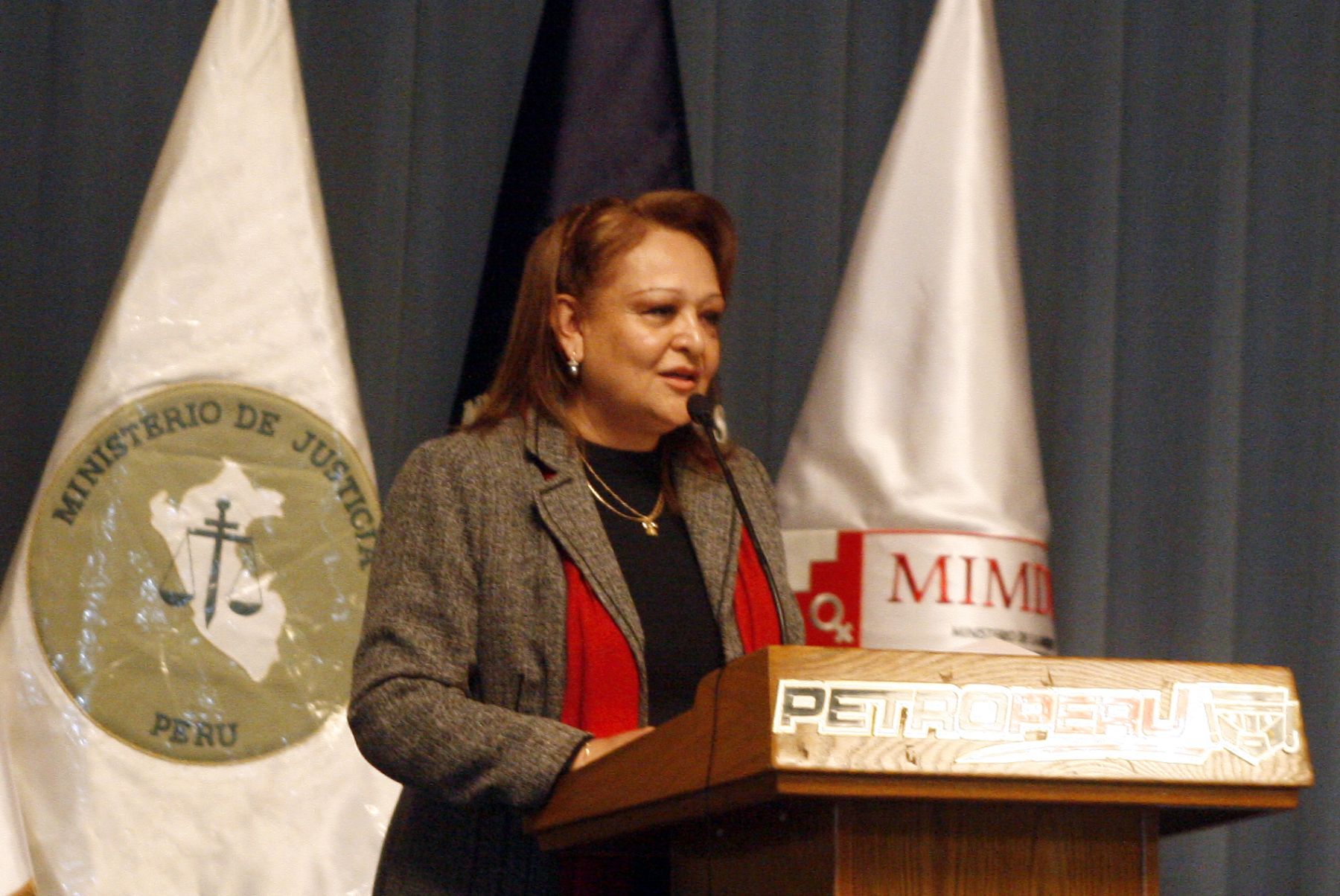 Dolores Tasayco, Vice ministra de  la Mujer, presentó resultado de Plan Nacional contra la Violencia Familiar. Foto. ANDINA/Stephanie Zollner