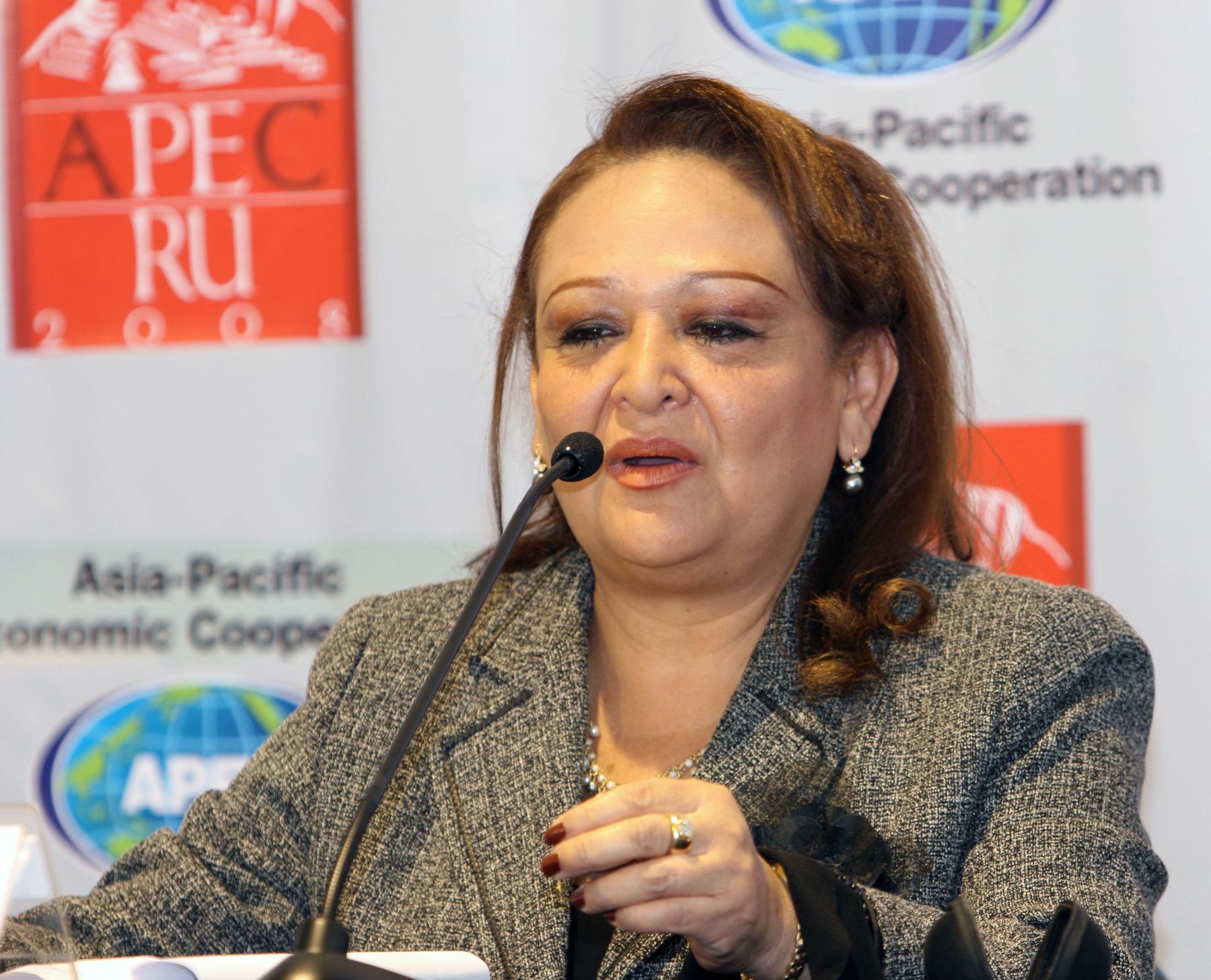 Viceministra de la Mujer, Dolores Tasayco, en conferencia de prensa por cita APEC 2008 en Arequipa. Foto: ANDINA/ Norman Còrdoba
