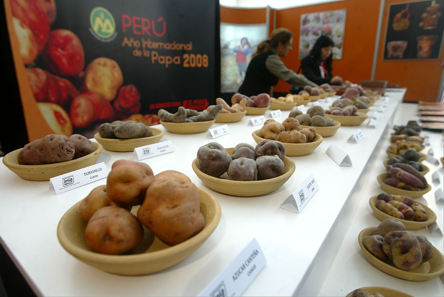 Peru boasts a wide variety of potatoes. Photo: ANDINA/Archive