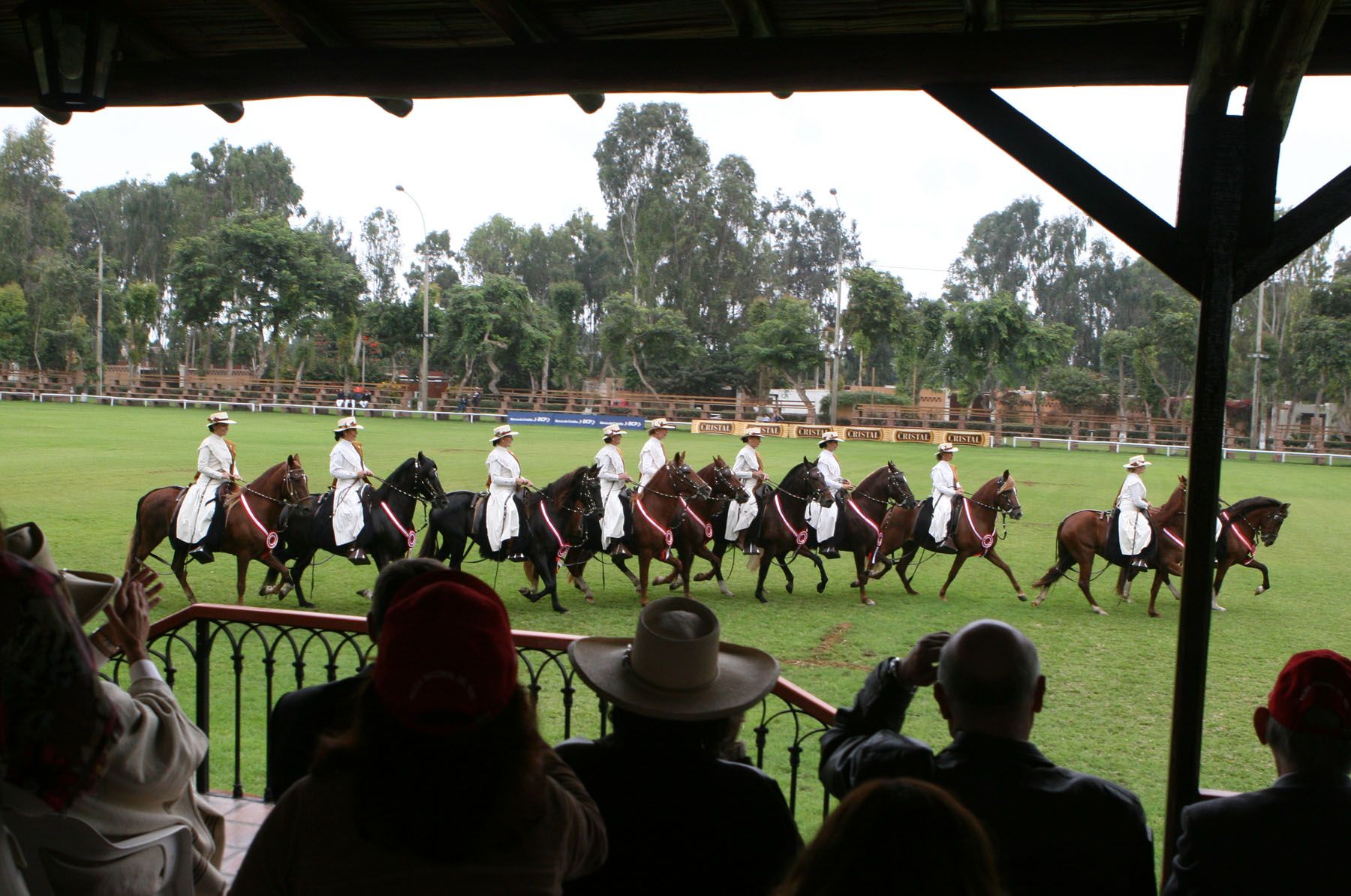 Exhibición de caballos de paso en Mamacona.Foto:ANDINA/Jorge Paz