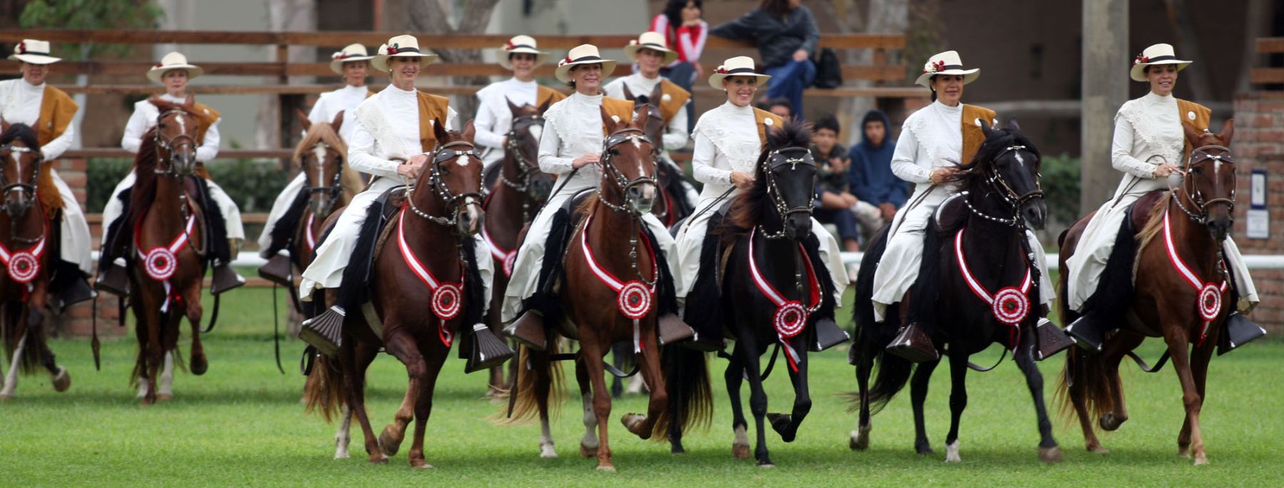 Exhibición de caballos de paso en Mamacona. Foto:ANDINA/Carlos Lezama