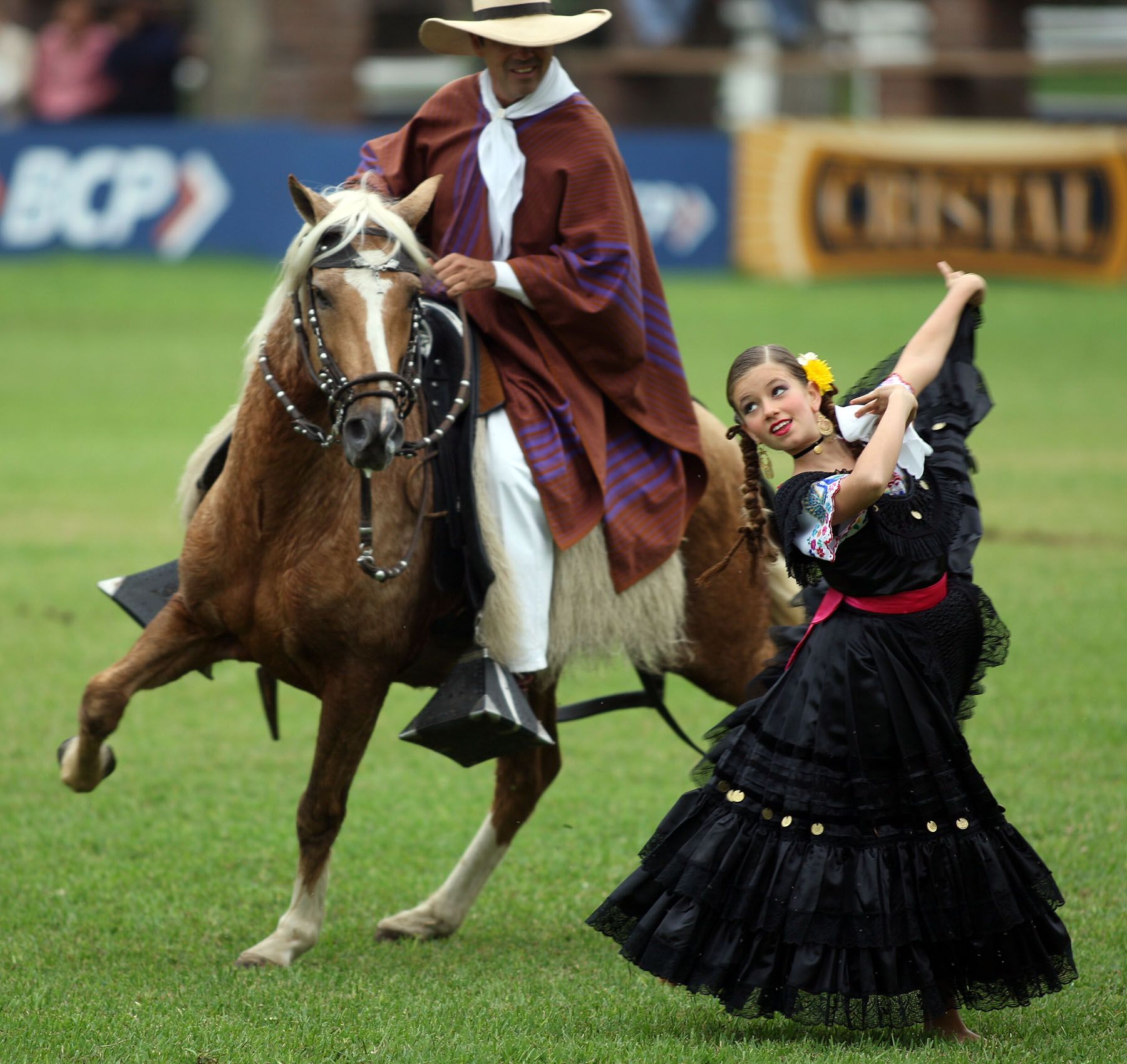 Exhibición de caballos de paso en Mamacona.Foto:ANDINA/Carlos Lezama