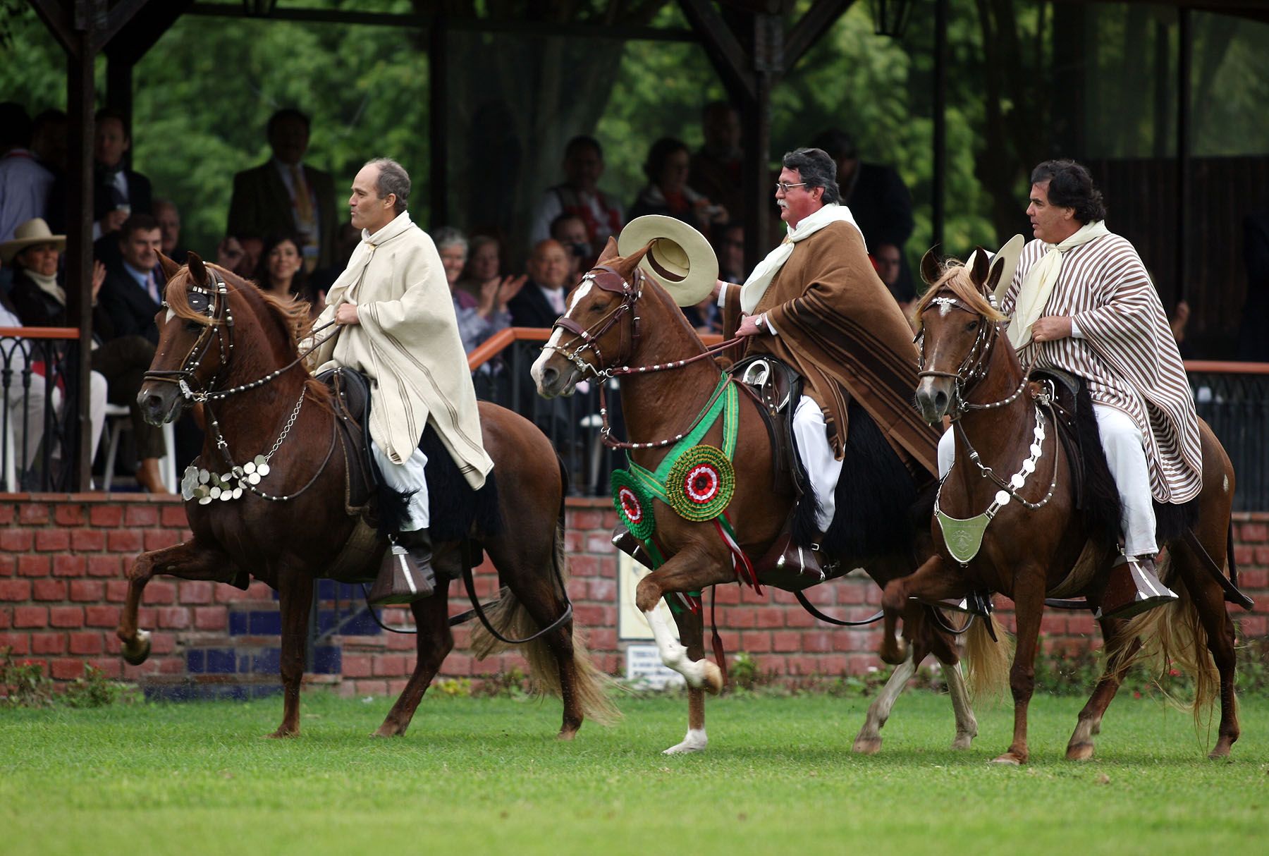 Exhibicion de caballos de paso en mamacona.Foto:ANDINA/Carlos Lezama