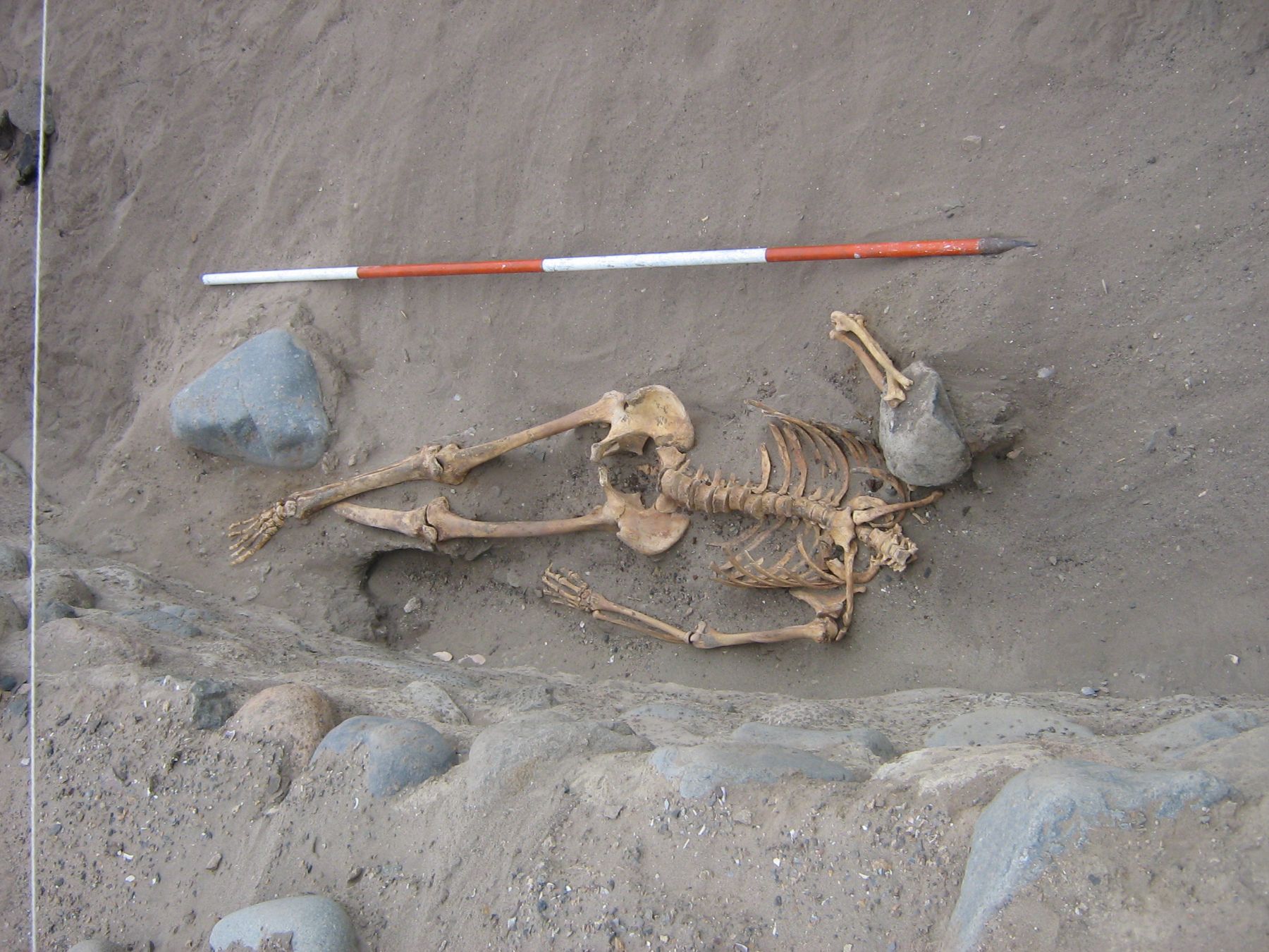 Human sacrifice remains are found at Bandurria archaeological site
