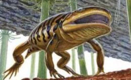 La "ranamandra" según ilustración publicada en el diario El ´Pa´´is