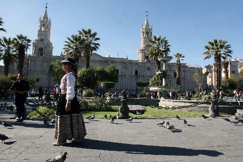 La próxima realización del Alpaca Fiesta 2018, del 22 al 27 de octubre en Arequipa, brinda una gran ocasión para conocer y disfrutar de su amplia oferta turística, con destinos que deslumbran por su belleza paisajística y arquitectónica, rica herencia cultural, sabrosa y variada gastronomía, y donde reside una población muy hospitalaria que invita a retornar más de una vez. ANDINA/Norman Córdova