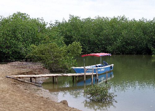 Manglares de Tumbes