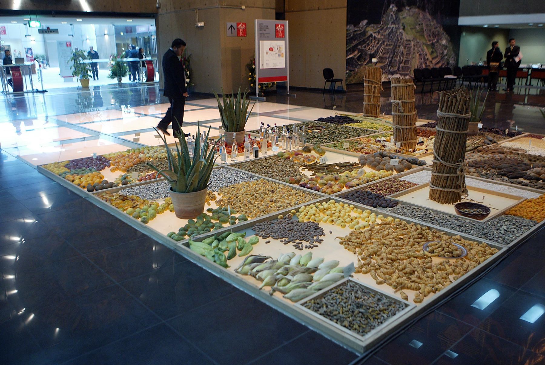Muestra de productos agricolas nativos-peruanos, en el Museo de la Nación, en el marco de de la 4ª Reunión Ministerial de Educación APEC 2008. Foto: ANDINA / Alberto Orbegoso