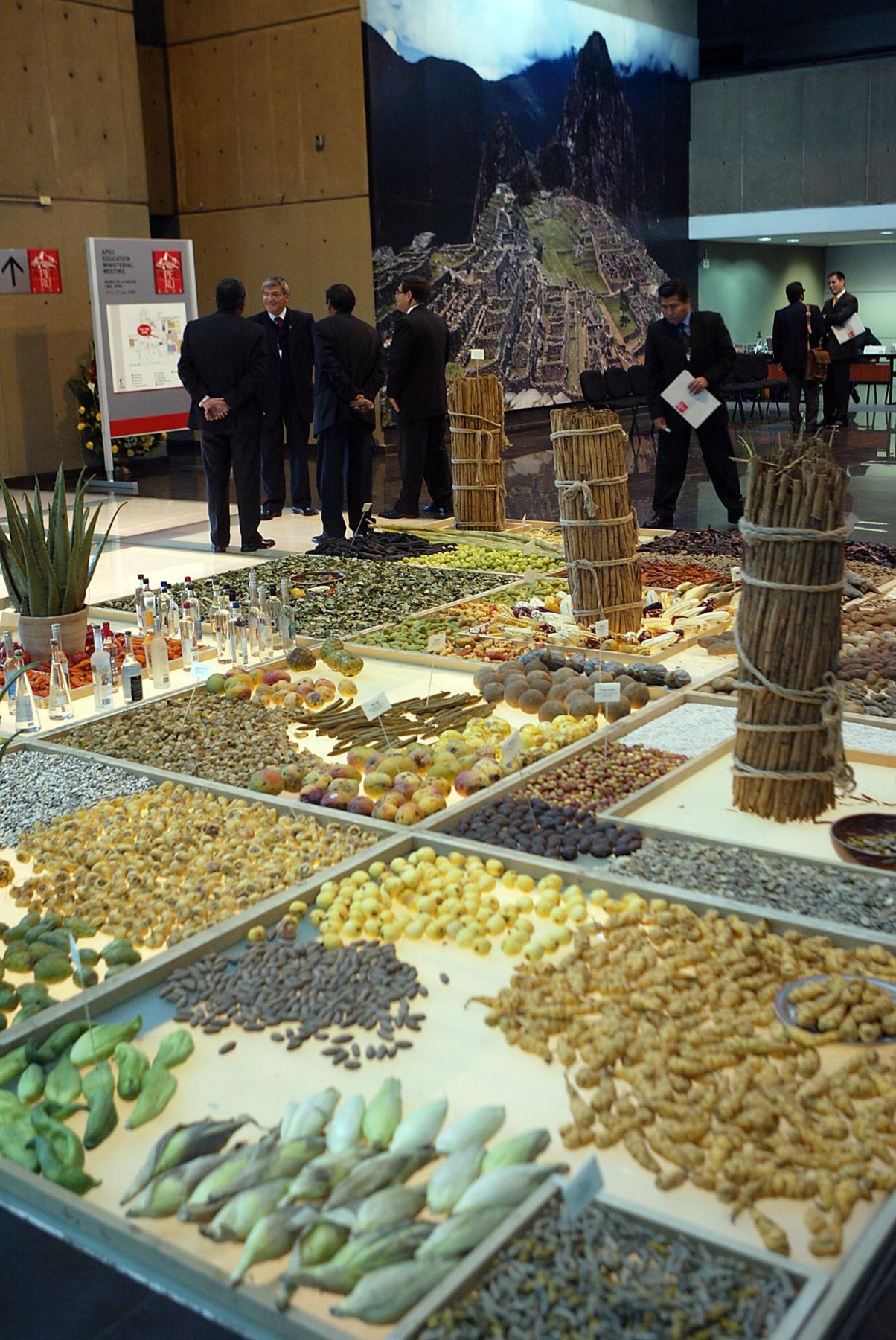 Muestra de productos agricolas, nativos-peruanos, en el Museo de la Nación, en el marco de de la 4ª Reunión Ministerial de Educación APEC 2008. Foto: ANDINA / Alberto Orbegoso