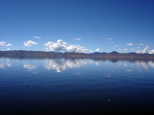 Foto: ANDINA / Inrena.