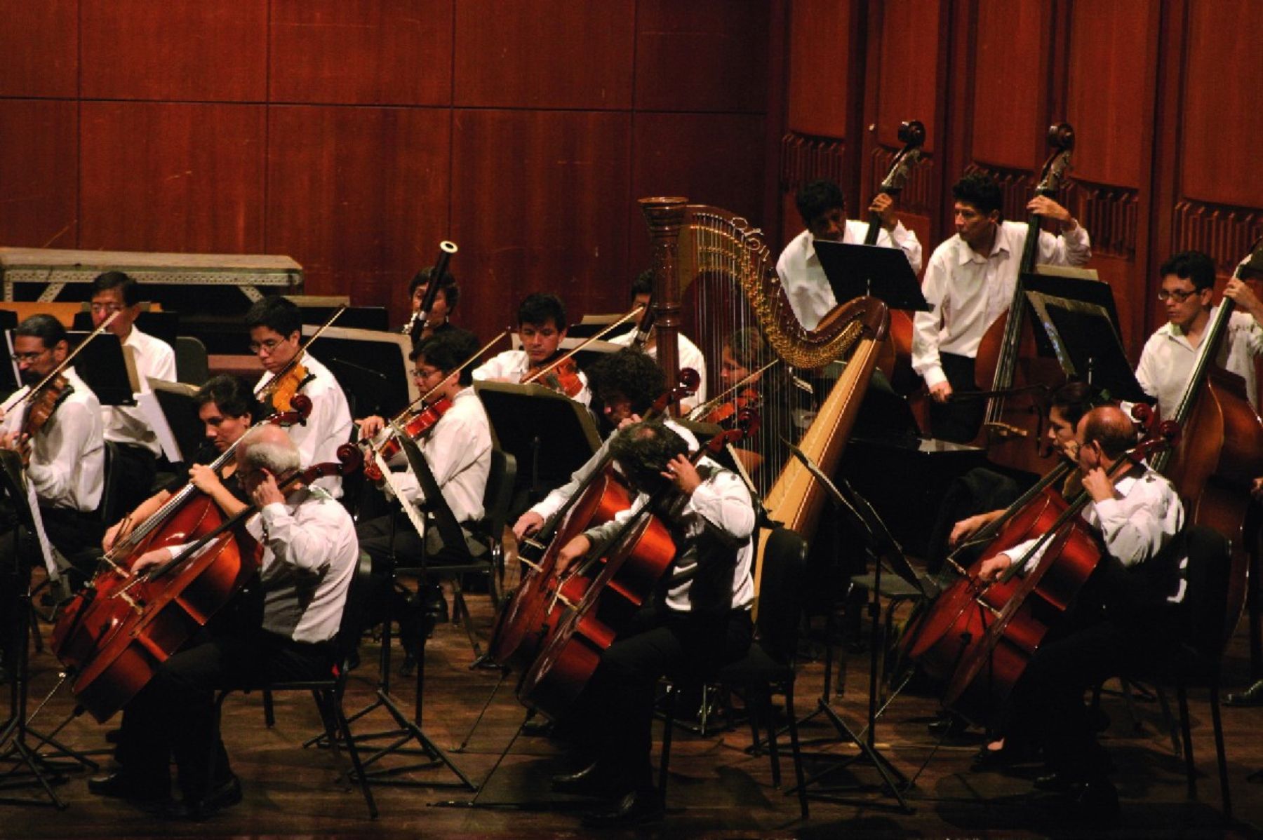 Orquesta Sinfónica Nacional. Foto: ANDINA/Archivo.