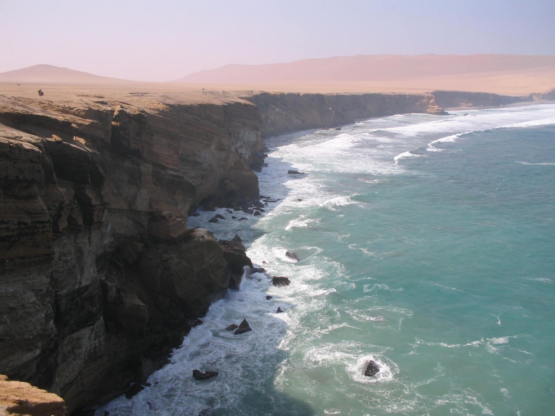 Paracas National Reserve, in the province of Pisco (Ica). Photo: ANDINA / Inrena.