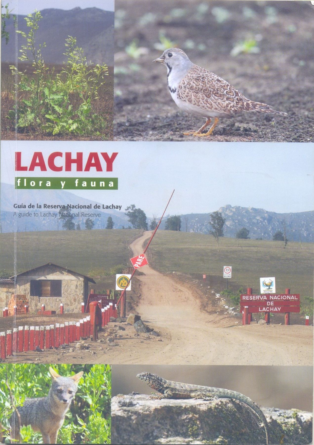 Portada de la Guía de Flora y Fauna de la Reserva Nacional de Lachay, elaborada por el ingeniero forestal Alejandro Tabini, con el apoyo de personal del área. Foto: ANDINA/Inrena.