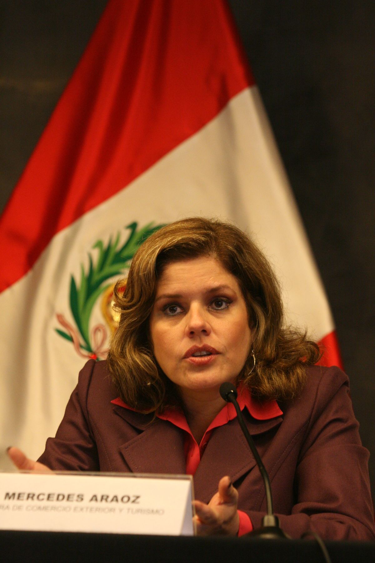 Mercedes Aráoz, ministra de Comercio Exterior y Turismo, anuncia la III Conferencia Internacional Sobre Turismo y Artesanía, a realizarse en Lima. Foto: ANDINA/Jorge Paz H.