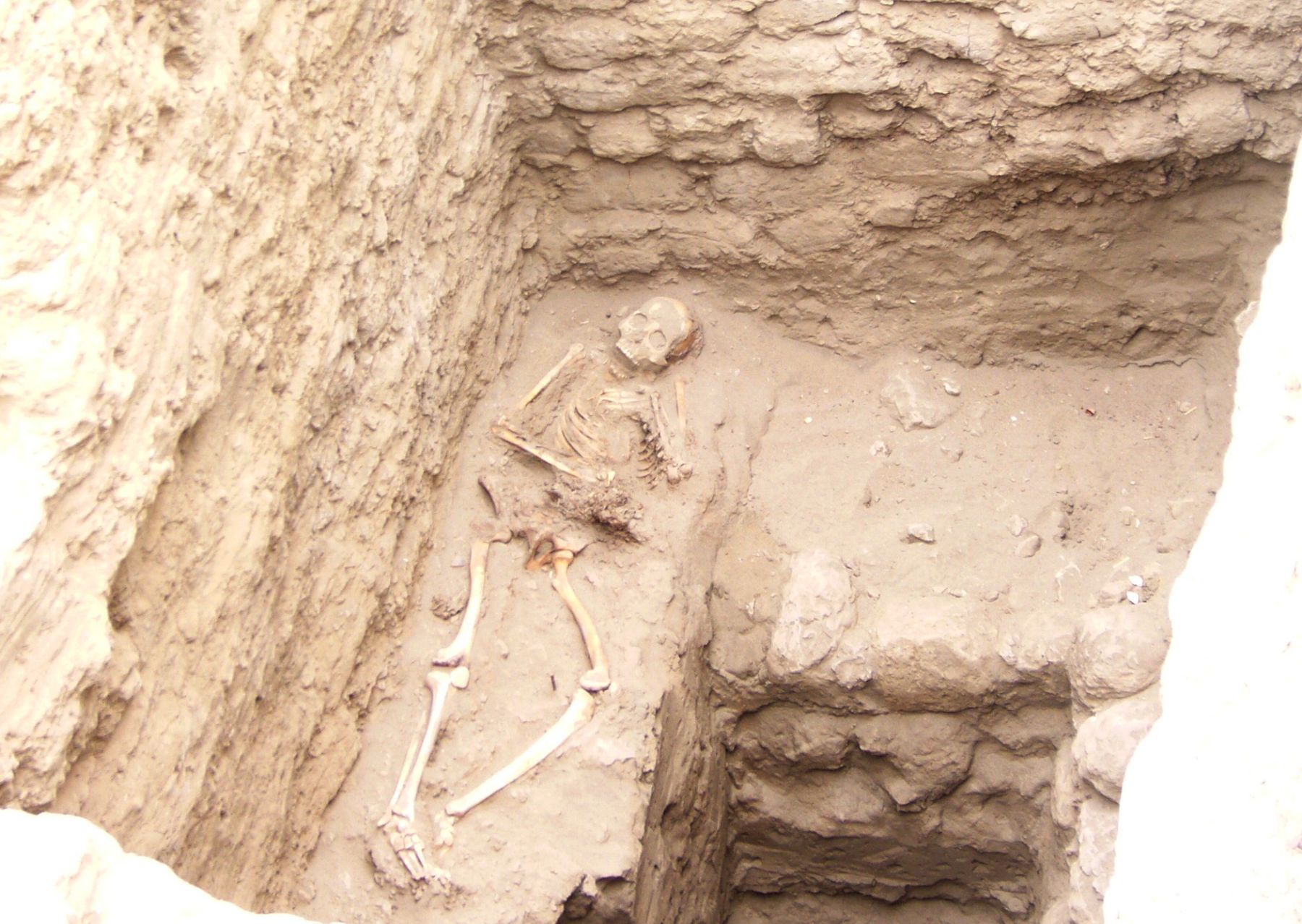 Entierro de sacrificios humanos en complejo arqueológico de Chotuna (Lambayeque). Foto: ANDINA.
