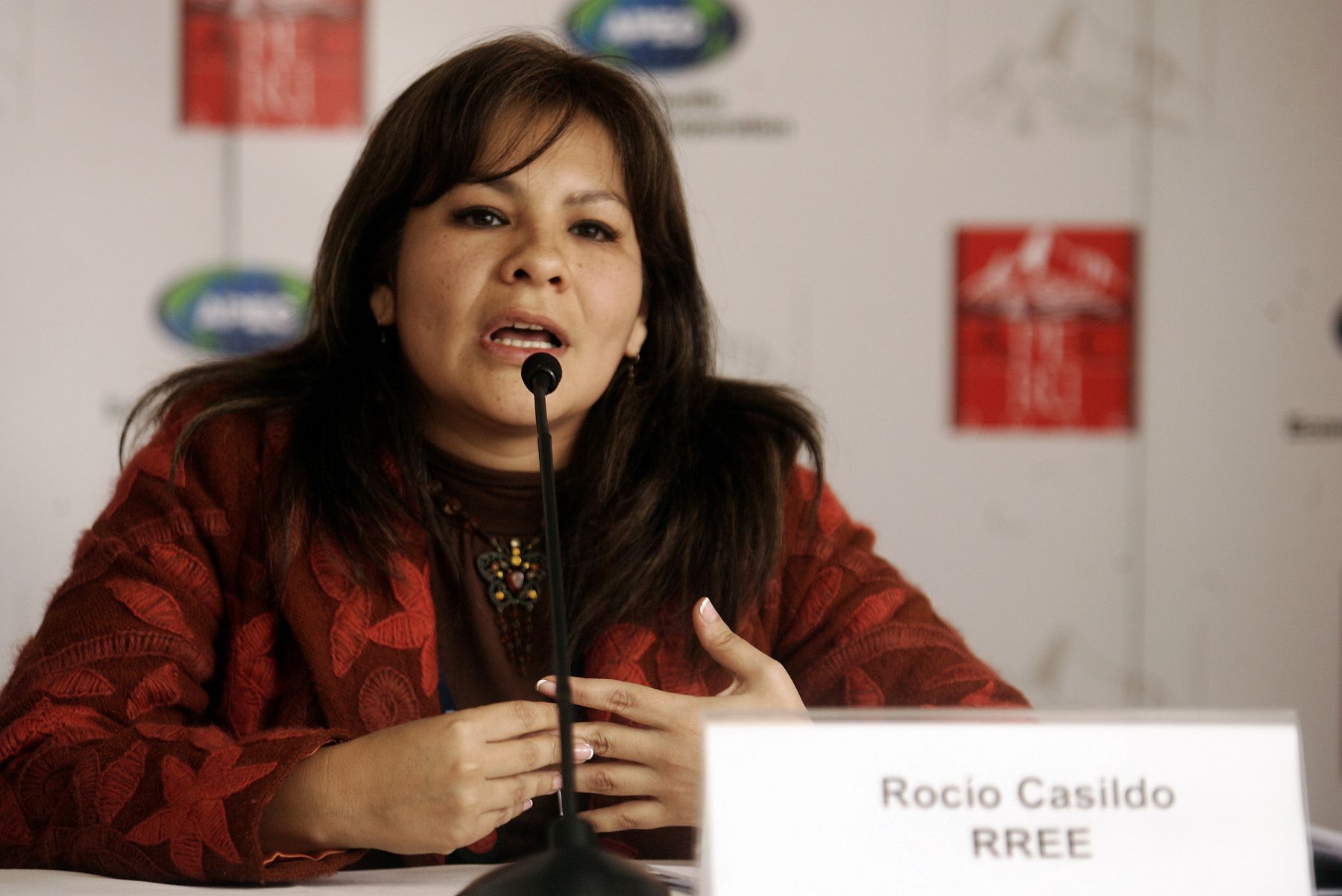 Conferencia de prensa de Rocio Casildo, supervisora del proyecto APEC Jovenes. Foto: ANDINA / Rafael Cornejo