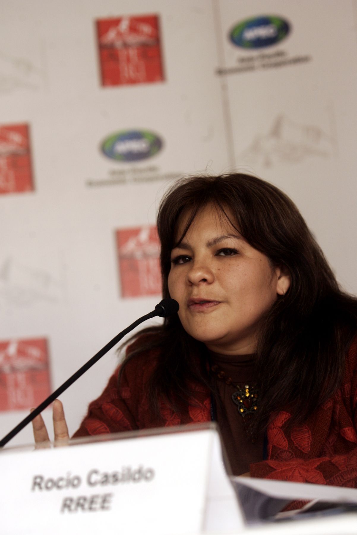 Conferencia de prensa de Rocio Casildo, supervisora del proyecto APEC Jovenes. Foto: ANDINA / Rafael Cornejo