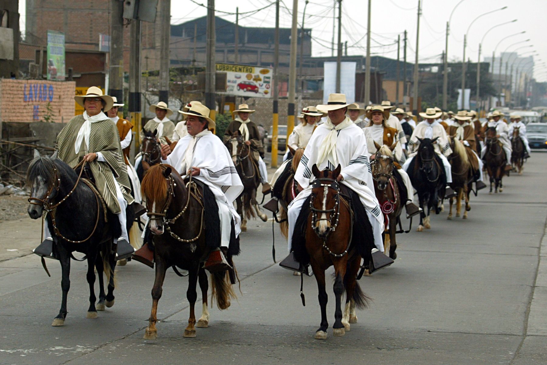 Los caballos de paso se lucirán en Mamacona desde este domingo. Foto: ANDINA / Rubén Grández
