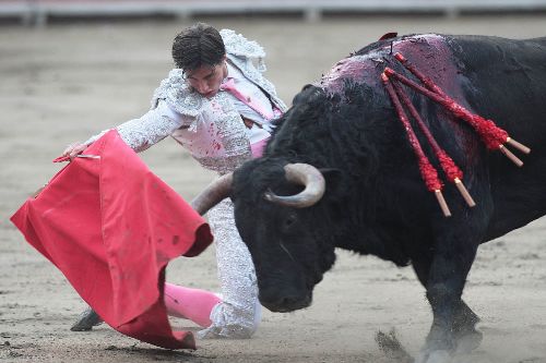 Los intereses económicos impiden que se prohíba corrida de toros, afirma Frente Antitaurino.