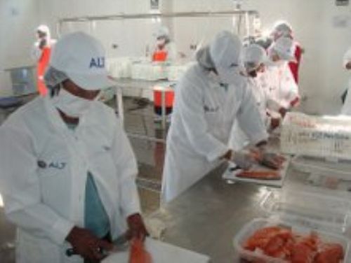 Trout process plant in Titicaca lake. Photo: ANDINA / ALT.