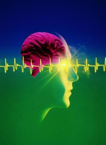 Investigan el desarrollo de ordenadoresd que simulan el cerebro humano.