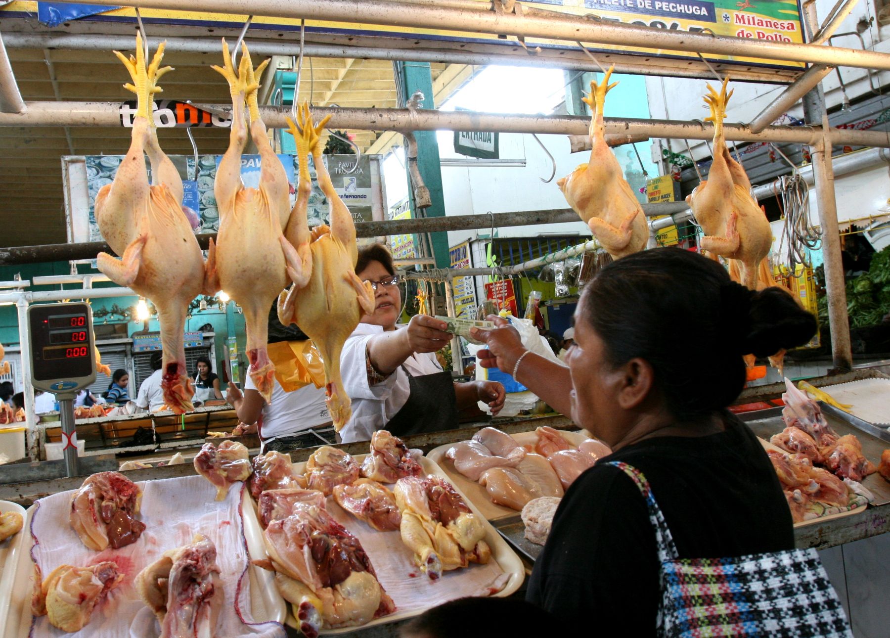 Precio del pollo bajó esta semana de S/. 5.60 a S/. 4.60 en centro de  acopio de Acho | Noticias | Agencia Peruana de Noticias Andina