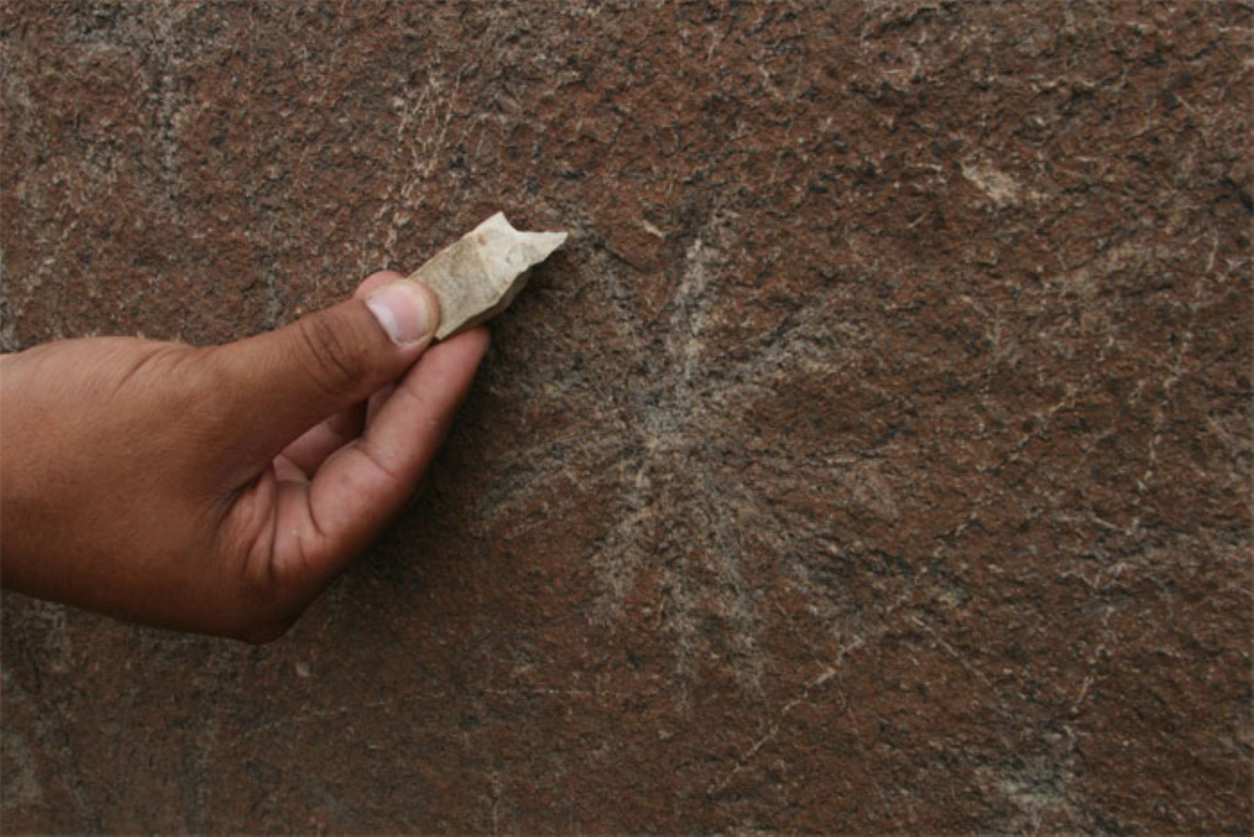 Arqueólogos sostienen que arte rupestre de Checta corre el riesgo de desaparecer. Foto: ANDINA/ Carolina Urra