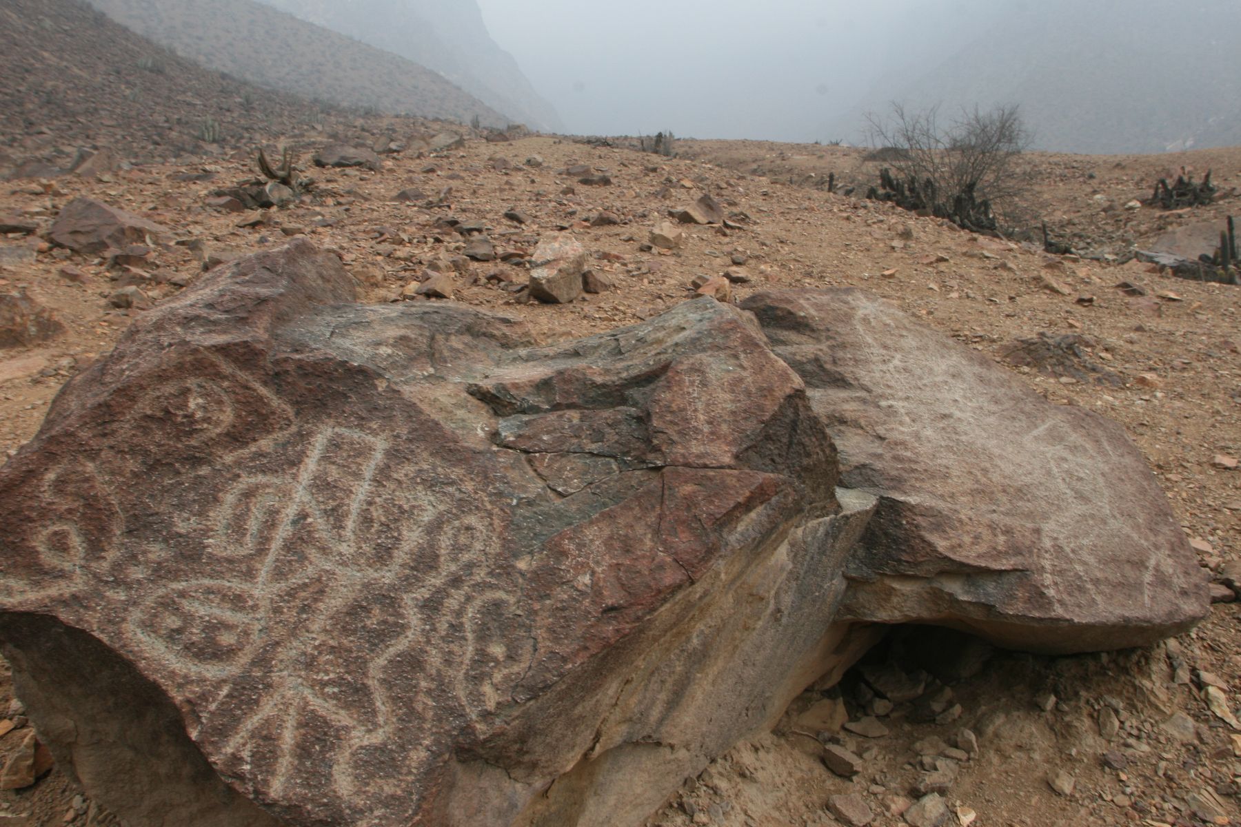 Los petroglifos de Checta, ubicados en el valle del Chillón, enfrentan un grave peligro para su conservación.