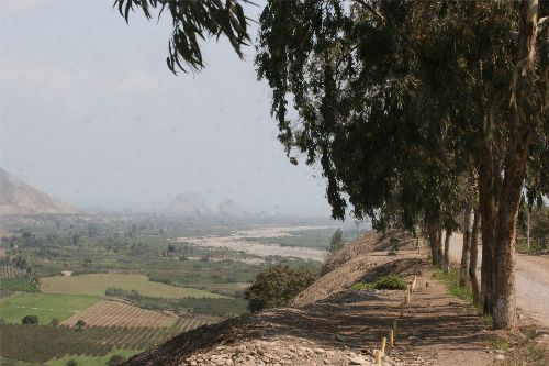 Santa Cruz de Flores en Cañete.