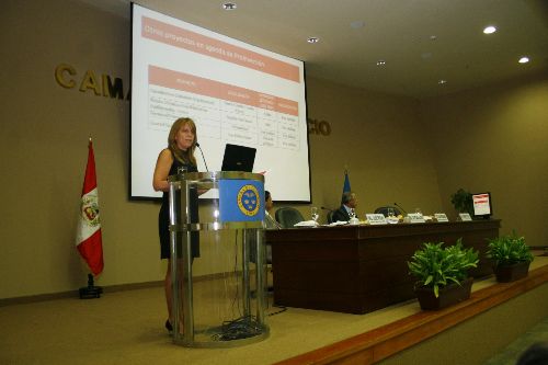Directora ejecutiva de ProInversión, Cayetana Aljovín, en conferencia de la CCL.