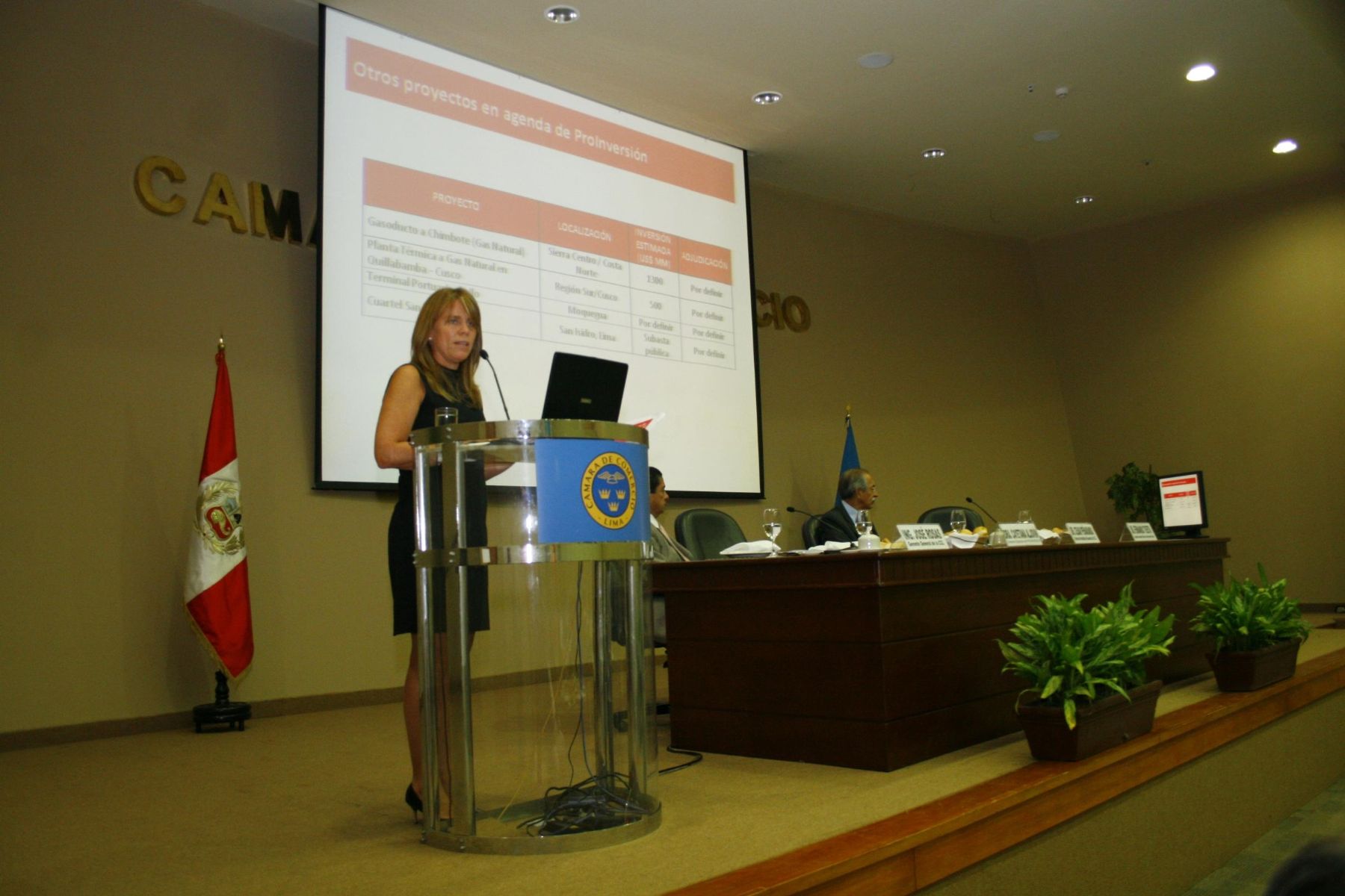 Directora ejecutiva de ProInversión, Cayetana Aljovín, en conferencia de la CCL.