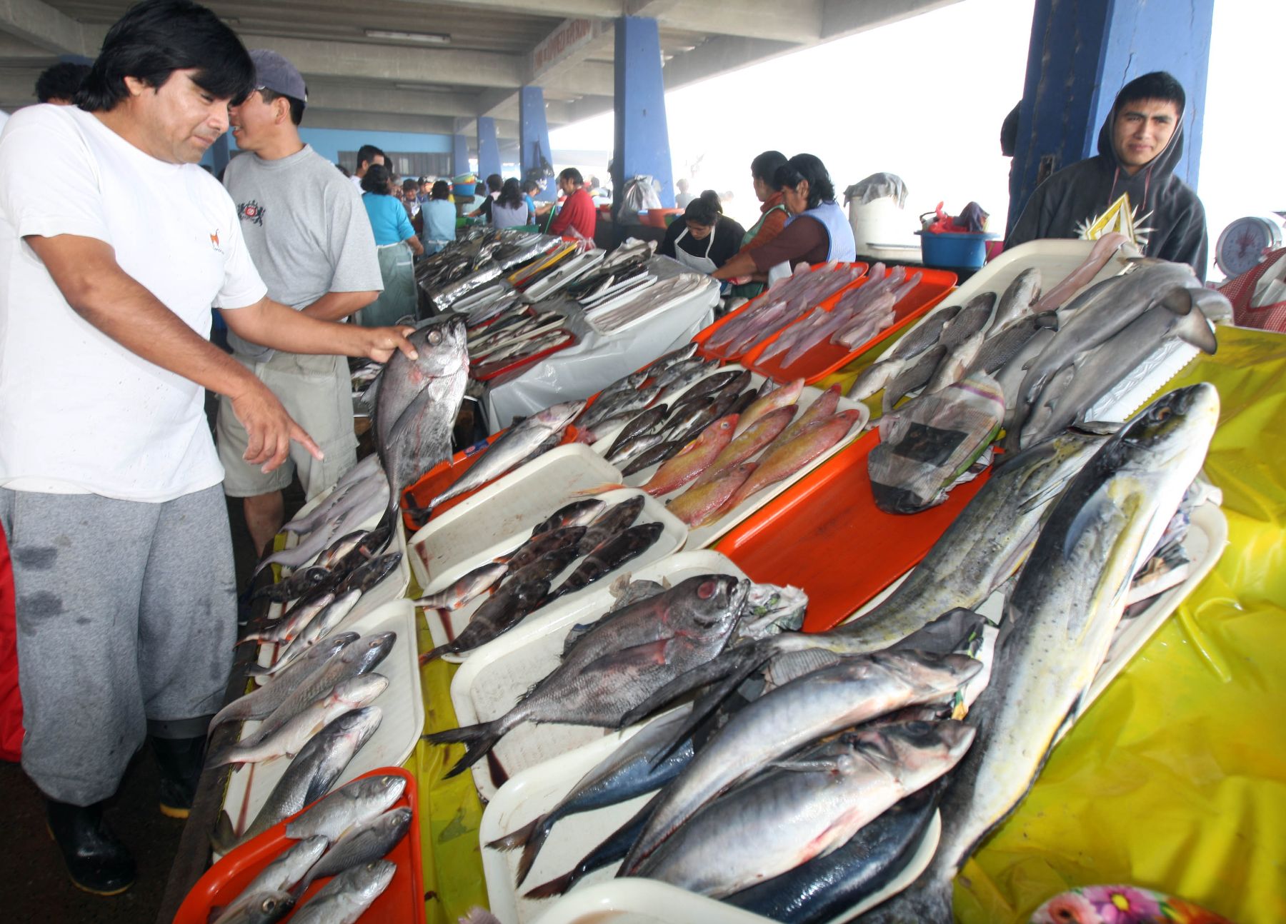 Gran demanda de pescados y mariscos se registra en mercados de Lima en  Viernes Santo | Noticias | Agencia Peruana de Noticias Andina
