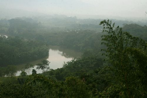Norma que modifica Ley Forestal representa un riesgo para la Amazonía peruana, afirman autoridades regionales. ANDINA/archivo