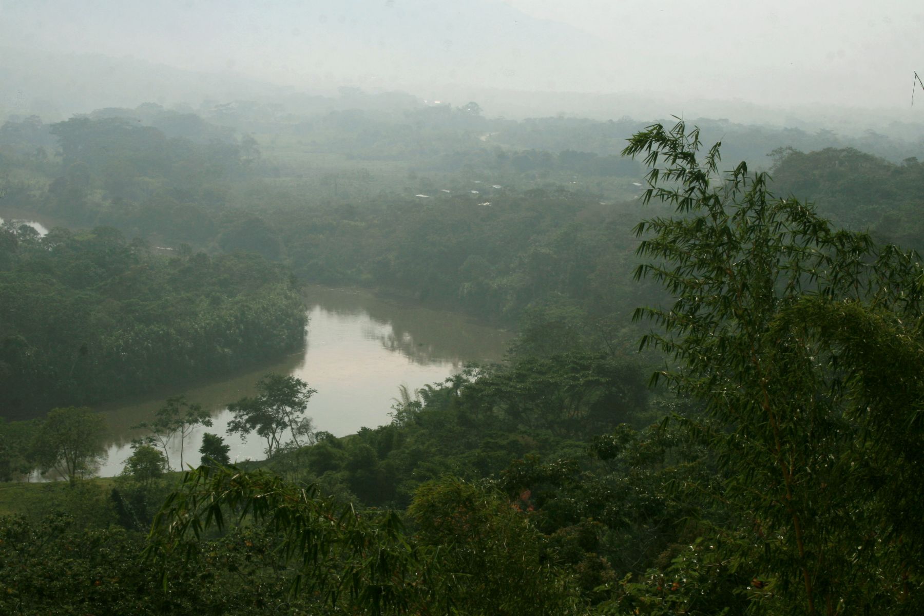 Selva de Tarapoto, en el departamento de San Martín.