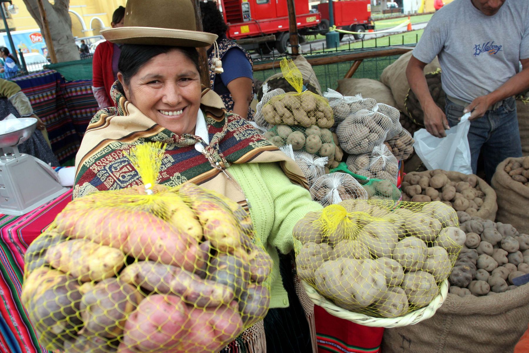 La papa y el arroz son los elementos más usados en la dieta diaria del peruano. Foto:ANDINA/Rocío Farfán.