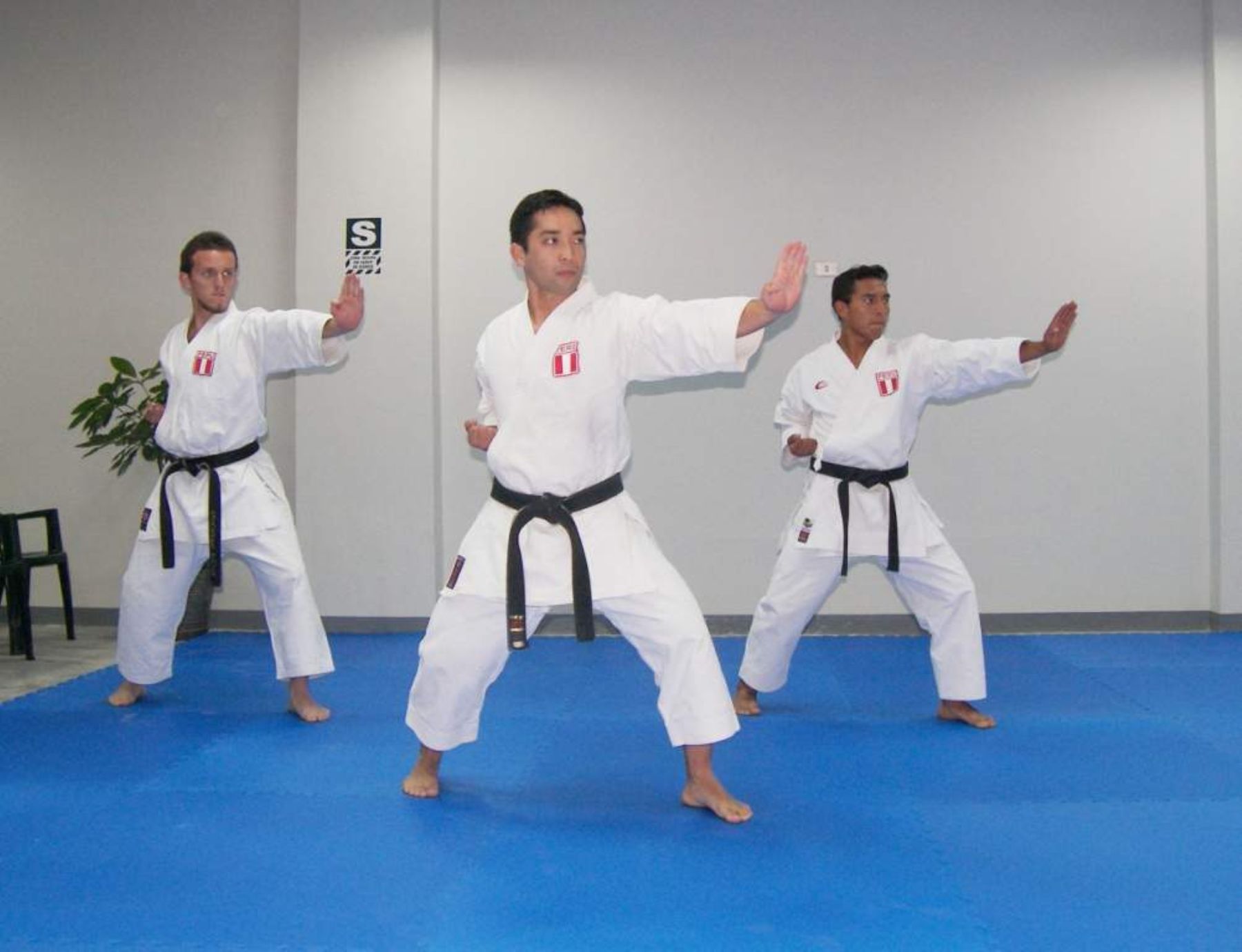 El karate será una de la disciplinas ofrecidas gratuitamente por Acción Popular. ANDINA/Difusión