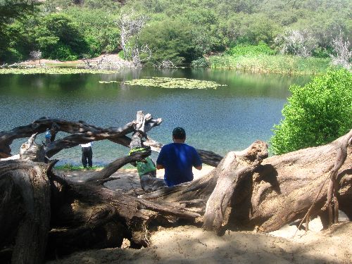 Bosque de Cañoncillo, área de conservación localizada en la provincia de Pacasmayo (La Libertad). Foto: ANDINA / Óscar Paz.