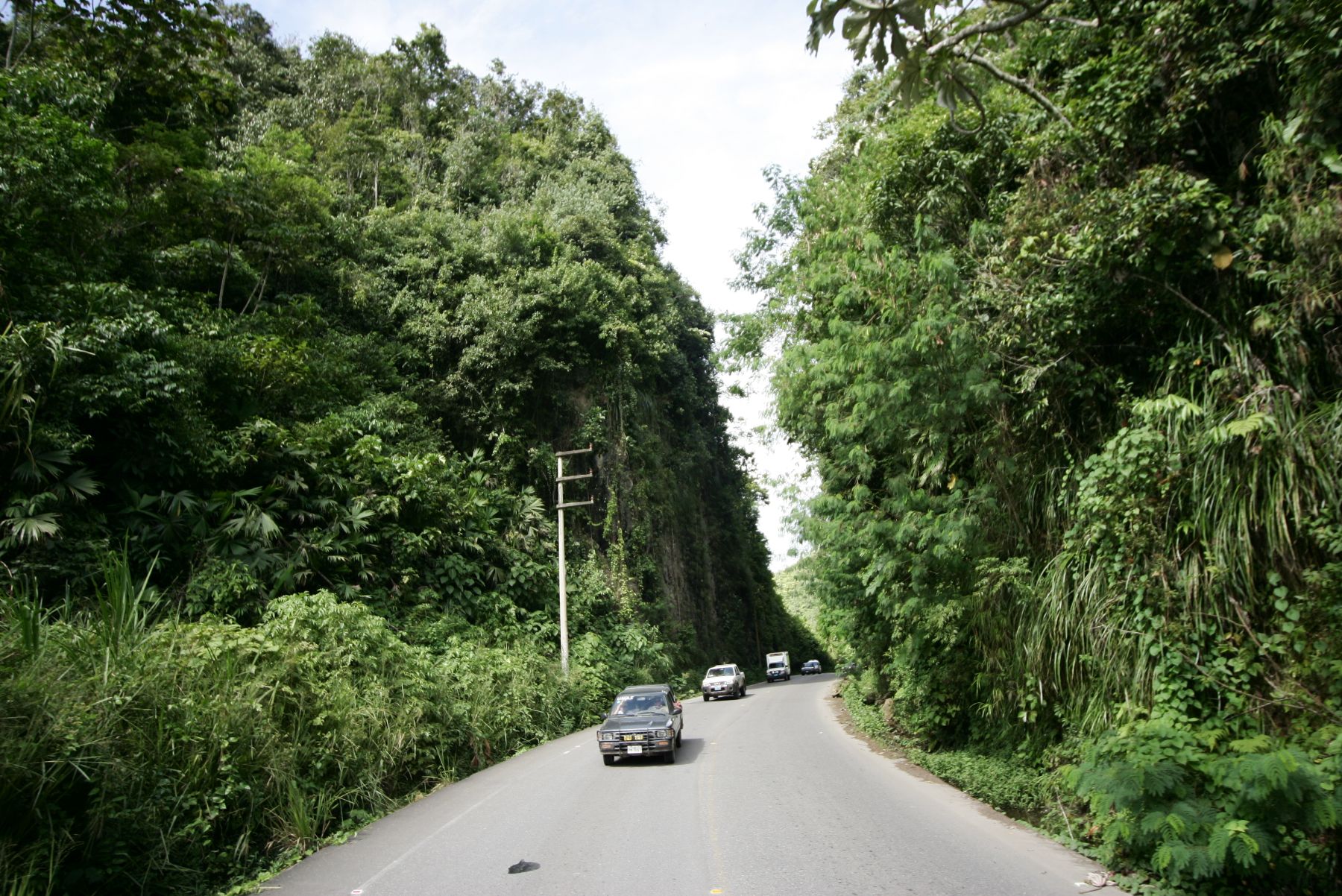 Carretera en Huánuco.